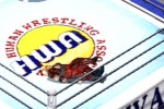 Fire Prowrestling G (PlayStation)