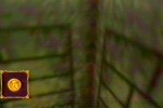 Shadowgate 64: Trials of the Four Towers (Nintendo 64)
