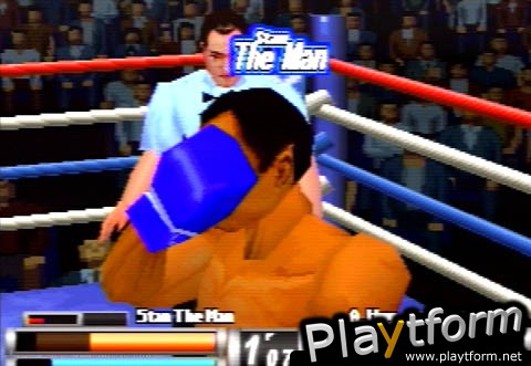 K-1 Revenge (PlayStation)