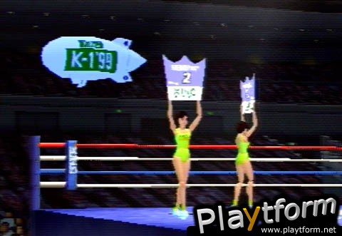 K-1 Revenge (PlayStation)
