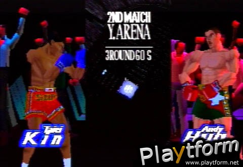K-1 Revenge (PlayStation)