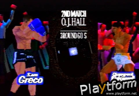 K-1 Revenge (PlayStation)