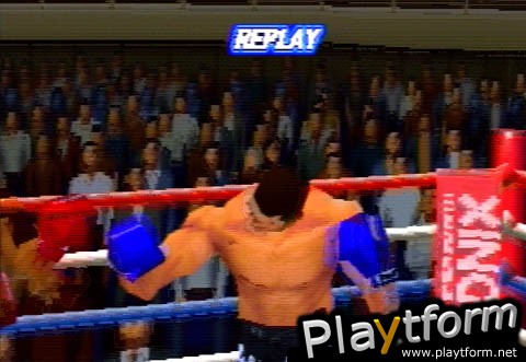 K-1 Revenge (PlayStation)