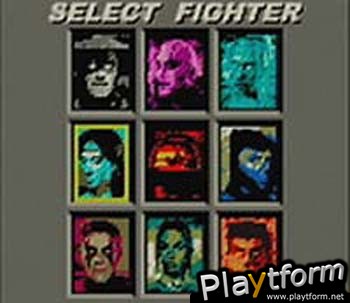 Mortal Kombat 4 (Game Boy Color)