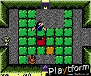 The Legend of Zelda: Link's Awakening DX (Game Boy Color)