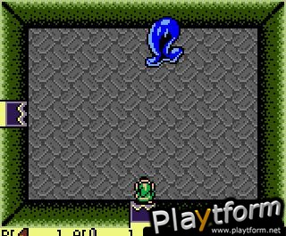 The Legend of Zelda: Link's Awakening DX (Game Boy Color)