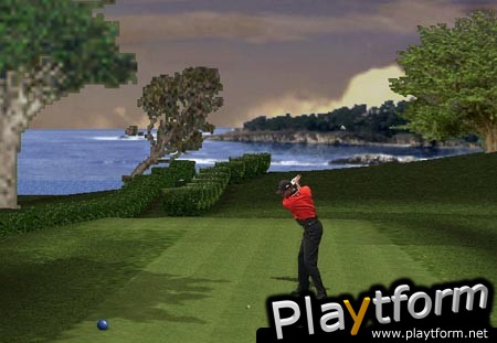 Tiger Woods 99 PGA Tour Golf (PC)