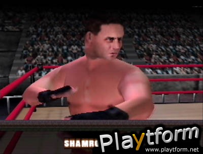 WWF War Zone (Nintendo 64)