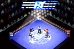 K-1 Revenge (PlayStation)