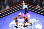 K-1 Revenge (PlayStation)