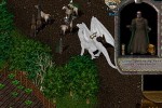 Ultima Online: The Second Age (PC)