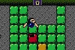 The Legend of Zelda: Link's Awakening DX (Game Boy Color)