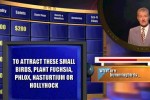 Jeopardy! (PC)