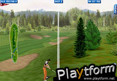 Fox Sports Golf '99 (PC)