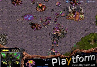 Starcraft (PC)