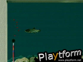 Reel Fishing (PlayStation)