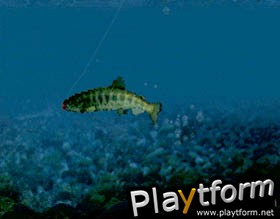 Reel Fishing (PlayStation)