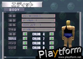 Shin Nippon Pro Wrestling: Toukon Retsuden 3 (PlayStation)