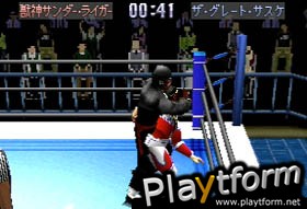 Shin Nippon Pro Wrestling: Toukon Retsuden 3 (PlayStation)