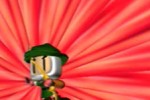 Bomberman Wars (PlayStation)