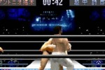 Shin Nippon Pro Wrestling: Toukon Retsuden 3 (PlayStation)