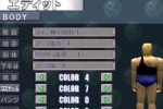 Shin Nippon Pro Wrestling: Toukon Retsuden 3 (PlayStation)