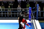 Shin Nippon Pro Wrestling: Toukon Retsuden 3 (PlayStation)