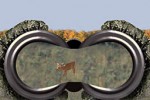 Deer Hunter (PC)
