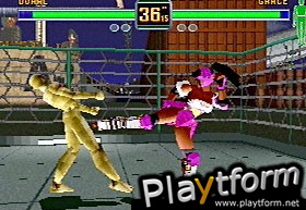 Fighters Megamix (Saturn)