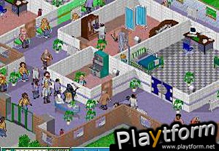 Theme Hospital (PC)