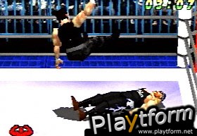 WCW vs The World (PlayStation)