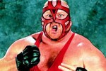 WWF In Your House (PC)