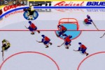 NHL Powerplay '96 (PC)