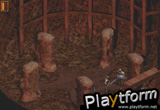 Druid: Daemons of the Mind (PC)