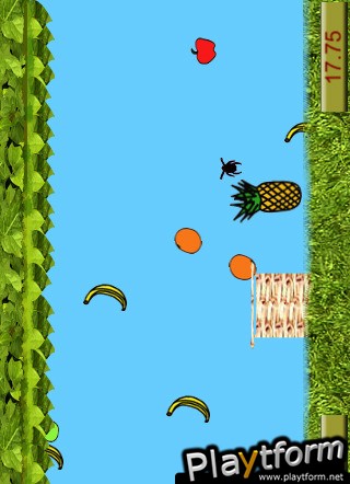 Fruit Basket (iPhone/iPod)