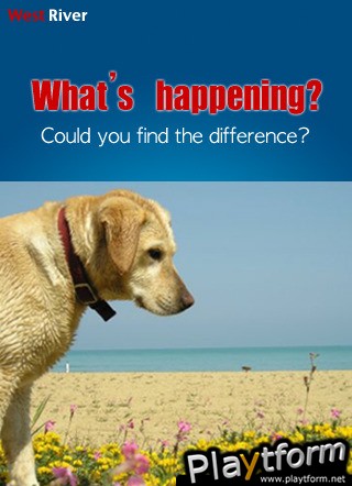 What's happening? (iPhone/iPod)