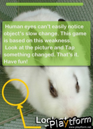 What's happening? (iPhone/iPod)