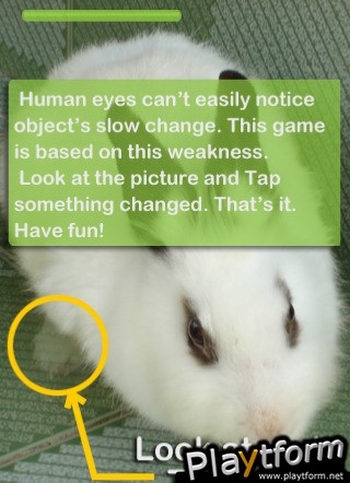 What's happening? (iPhone/iPod)