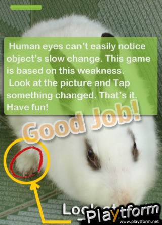 What's happening? (iPhone/iPod)