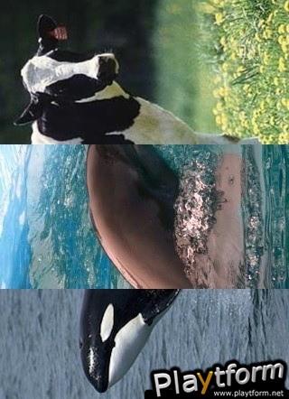 Animal Mixer (iPhone/iPod)
