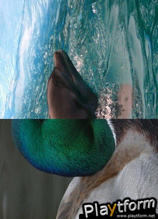 Animal Mixer (iPhone/iPod)