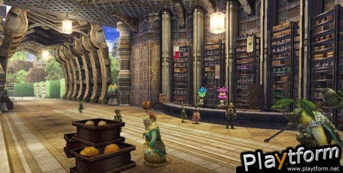Final Fantasy Crystal Chronicles: The Crystal Bearers (Wii)