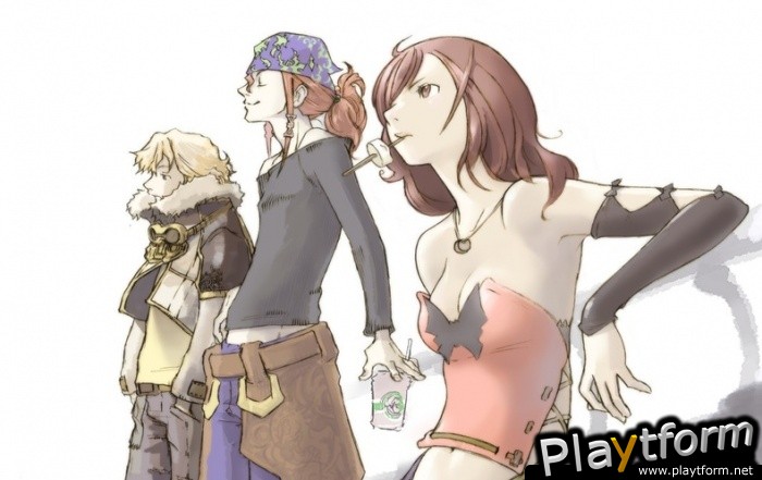 Final Fantasy Crystal Chronicles: The Crystal Bearers (Wii)
