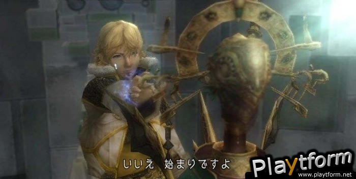 Final Fantasy Crystal Chronicles: The Crystal Bearers (Wii)