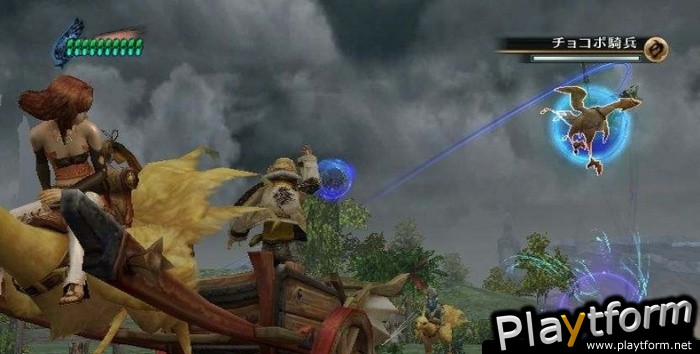 Final Fantasy Crystal Chronicles: The Crystal Bearers (Wii)