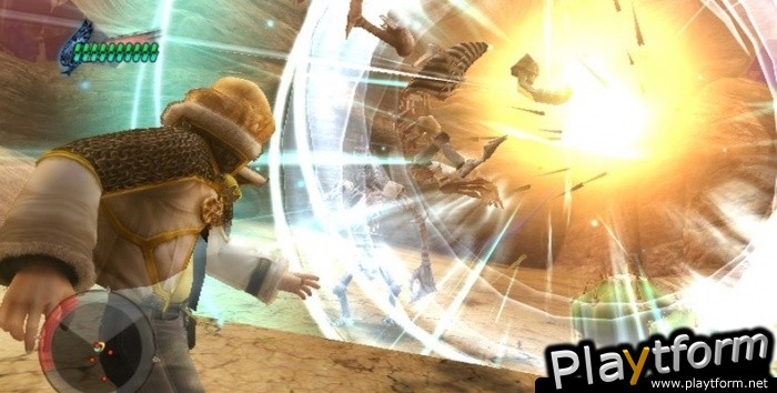 Final Fantasy Crystal Chronicles: The Crystal Bearers (Wii)