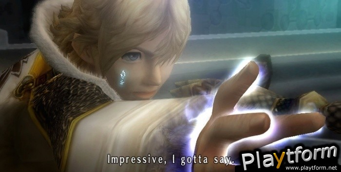 Final Fantasy Crystal Chronicles: The Crystal Bearers (Wii)