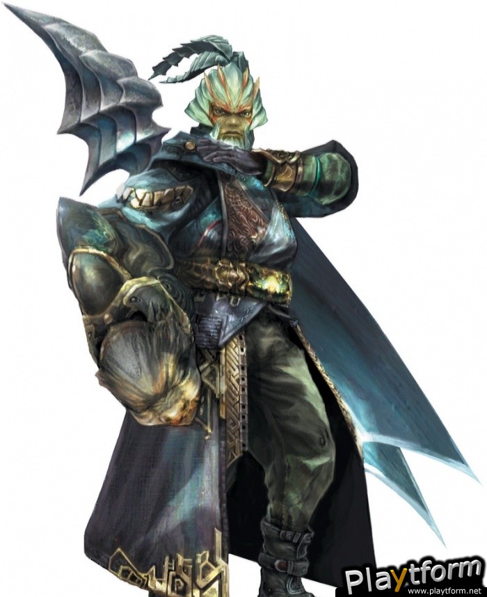 Final Fantasy Crystal Chronicles: The Crystal Bearers (Wii)