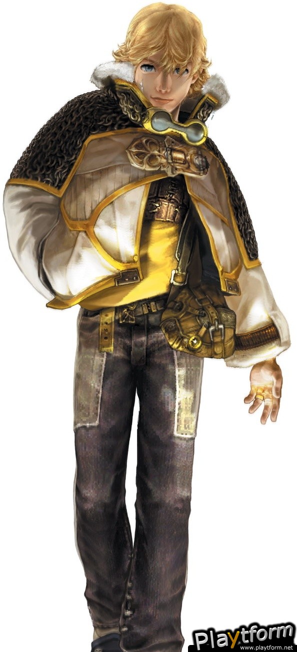 Final Fantasy Crystal Chronicles: The Crystal Bearers (Wii)