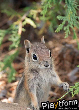 Toddler Zoo Free (iPhone/iPod)